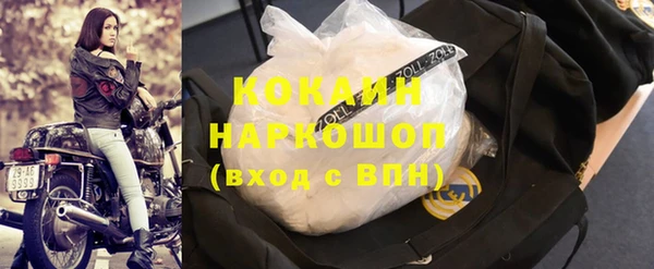 сатива Аркадак