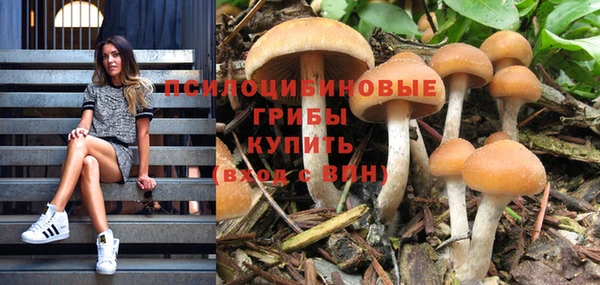 мяу мяу мука Арсеньев