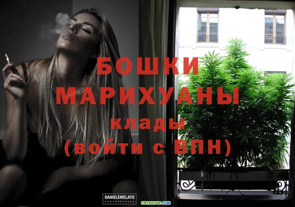 сатива Аркадак