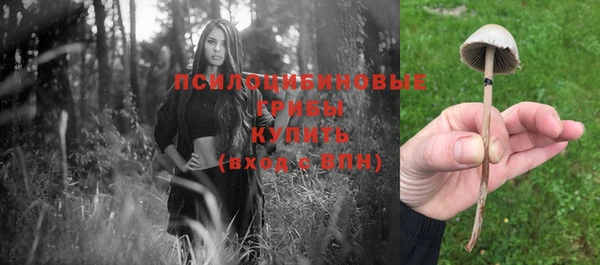 мяу мяу мука Арсеньев