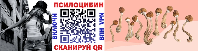 Псилоцибиновые грибы Psilocybe ОМГ ОМГ как войти Сосновоборск