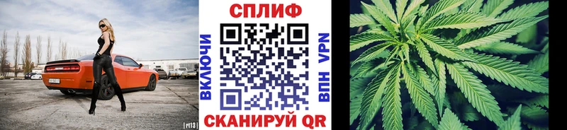 Канабис гибрид как найти наркотики Сосновоборск